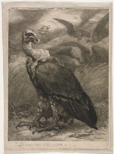 Keselyű alkotó: Felix Bracquemond