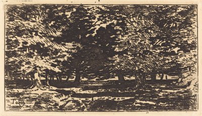 Erdő. alkotó: Felix Hilaire Buhot