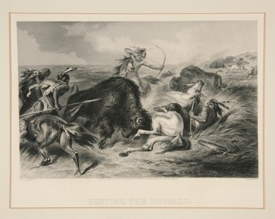 Vadászat a bivalyra alkotó: Felix O. C. Darley