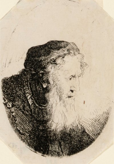 Öregember hullámzó szakállal alkotó: Ferdinand Bol