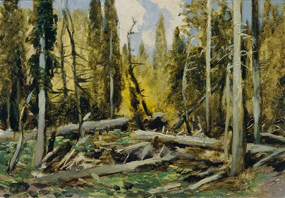 Šumava (a „Česka Krajiná cseh tájainak 16 képe” című portfólióból) alkotó: Ferdinand Engelmuller