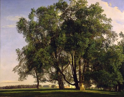 Práter tájképe alkotó: Ferdinand Georg Waldmüller