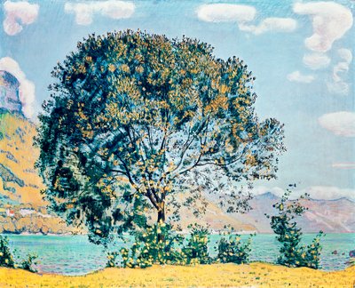 Ismeretlen kép alkotó: Ferdinand Hodler