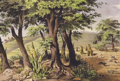 Augusztus (színes litográfia) alkotó: Ferdinand Karl Klimsch