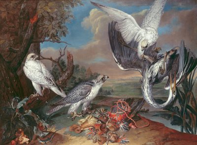 Grönland Cyr Falcons alkotó: Ferdinand Phillip de Hamilton
