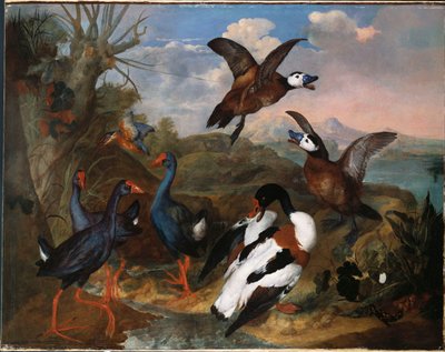 Kagylókacsák és más szárnyasok a tájban, 1720 alkotó: Ferdinand Phillip de Hamilton
