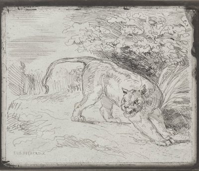 Egy csapdába esett tigris, 1854. alkotó: Ferdinand Victor Eugene Delacroix
