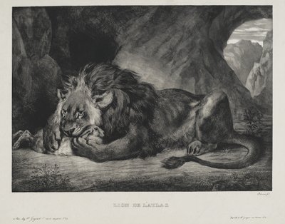 Oroszlán az atlaszból, 1829 alkotó: Ferdinand Victor Eugene Delacroix