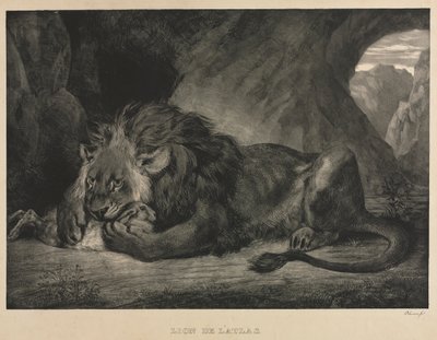 Atlasz oroszlánja, 1829. alkotó: Ferdinand Victor Eugene Delacroix