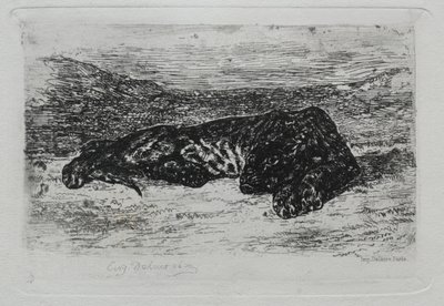 Tigris feküdt a sivatagban. alkotó: Ferdinand Victor Eugene Delacroix