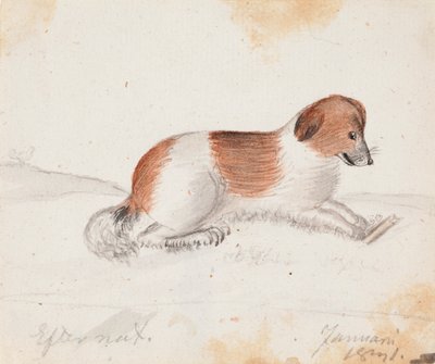 Kutya alkotó: Ferdinand von Wright