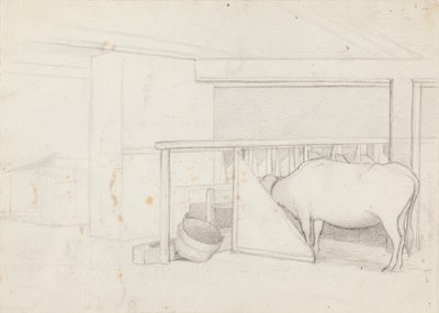 Egy borjú egy hasadt fán alkotó: Ferdinand von Wright