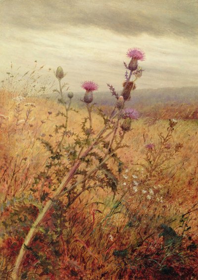 Bogáncs a mezőn, 1875 alkotó: Fidelia Bridges