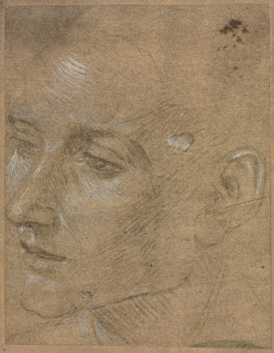 Egy fiatalember feje, 1400-as évek második fele. alkotó: Filippino Lippi
