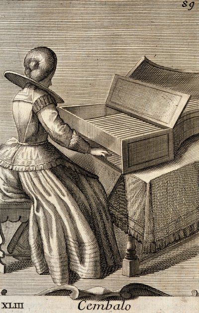 Woman playing the harpsichord alkotó: Filippo Bonanni
