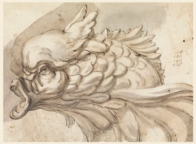 Rajz, egy delfin feje, kb. 1775 alkotó: Filippo Marchionni