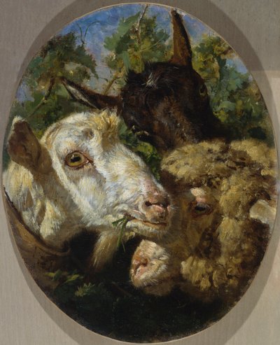 Állatok fejei alkotó: Filippo Palizzi