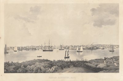 Kilátás Gloucesterre, Mass. alkotó: Fitz Henry Lane