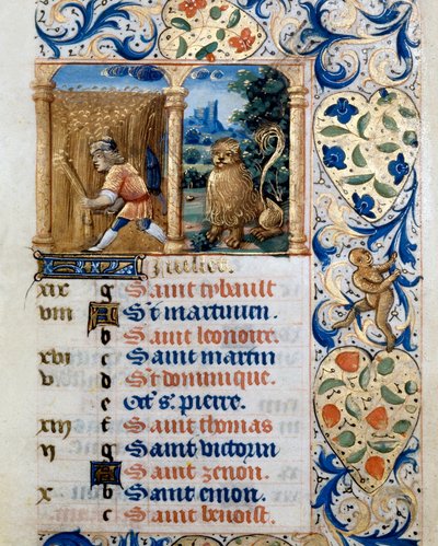 Naptár, július hónap, paraszt a búzamezőn és az oroszlán jegye. Oldal egy órakönyvből ms. 47, a flamand iskola által kivilágított. 16. századi Badia de 