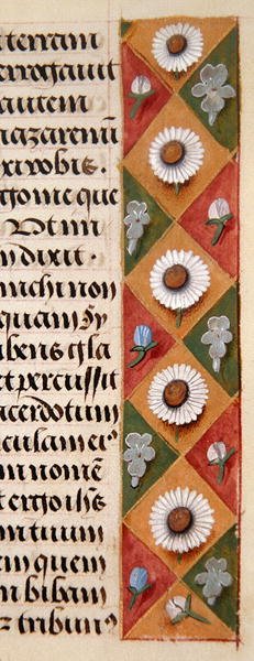 Ms. 1058-1975, f.16r: virágos szegély részlete egy Órakönyvből, 1500 körül (vellum) alkotó: Flemish School