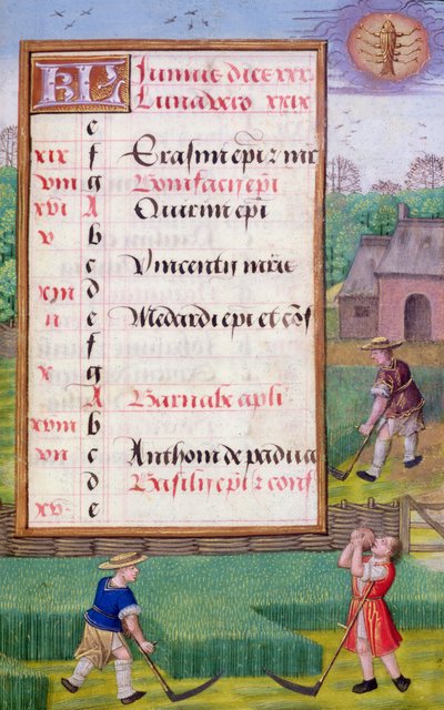 Ms 1058-1975 f6r Fűnyírás, illuminált naptárlap júniusra, egy Órakönyvből, 1500 körül (pergamen) alkotó: Flemish School