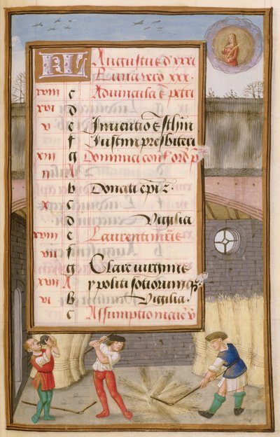 Ms 1058-1975 f8r Kukoricacséplés az istállóban, megvilágított augusztusi naptároldal, egy Órakönyvből, 1500 körül alkotó: Flemish School