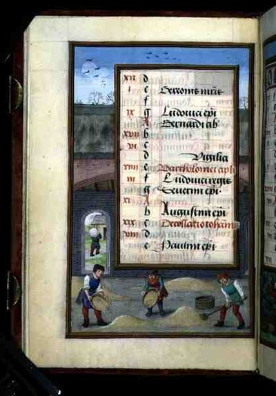 Ms 1058-1975 f8v Winnowing Corn in a Barn, megvilágított augusztusi naptároldal, egy Órakönyvből, 1500 körül (vellum) alkotó: Flemish School