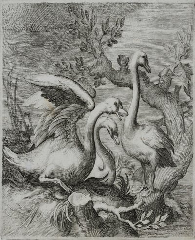 Old Master Metszet alkotó: Flemish School
