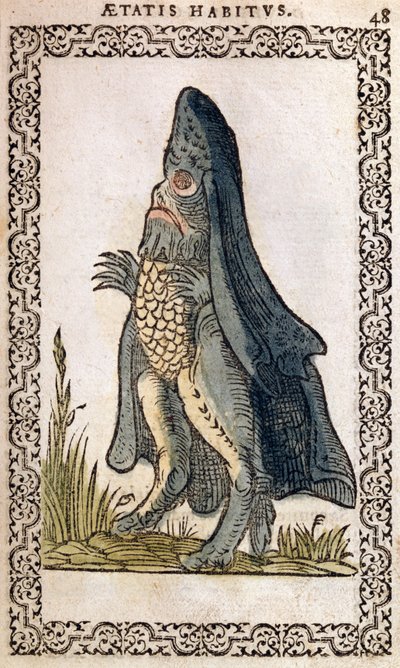 A tengeri püspök vagy tengeri szörny, Jean Sluperji, Szinte minden nemzet és kortárs nemzet szokásai és portréi című illusztrációja, Antwerpen, 1572 (színes fametszet) alkotó: Flemish School