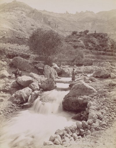 Cours du Kadisha, Monte Lisszabon, 1860-80-as évek, nyomtatott autó. 1870. alkotó: Félix Bonfils