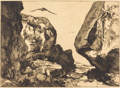 Gorge in the Rocks alkotó: Félix Bracquemond after Jules Laurens