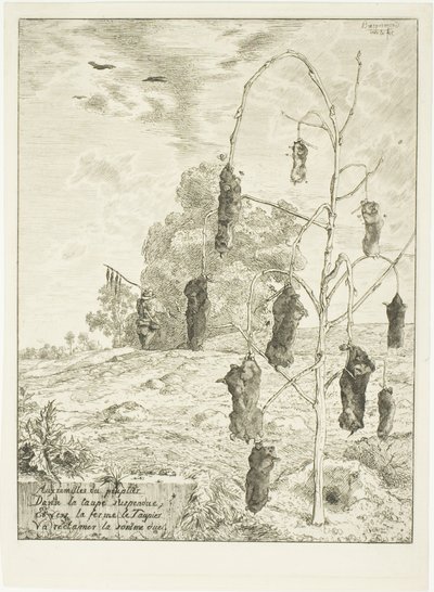 Vakondok alkotó: Félix Henri Bracquemond