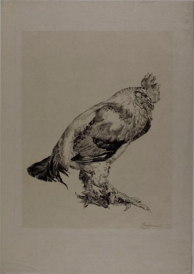 Az öreg kakas alkotó: Félix Henri Bracquemond
