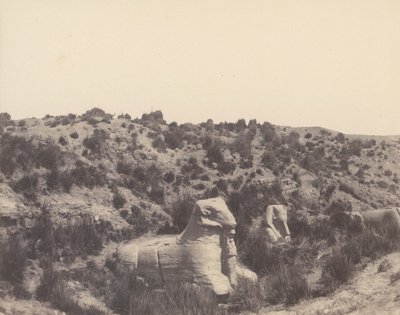 Karnak Théba, Szfinx emberi fejjel és kosfejjel, Y, 1851-52, nyomtatva 1853-54. alkotó: Félix Teynard