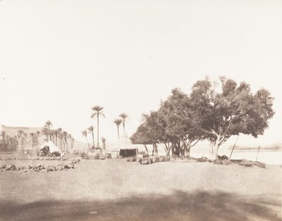 Korósko, Sycomores and Camping of a Caravan for the Sennâr, 1851-52, nyomtatva 1853-54. alkotó: Félix Teynard