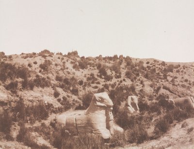 Szfinxek emberi fejjel és kosfejjel az Y. Karnak Thébában, 1851-1852. alkotó: Félix Teynard
