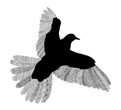 Bird Line Art alkotó: Florent Bodart