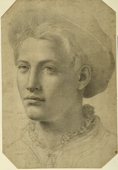 Egy sapkát viselő fiatal portréfeje, 1530-40 körül (fekete kréta fehér papíron) alkotó: Florentine School