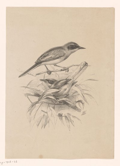 Két kismadár egy ágon alkotó: Floris Verster