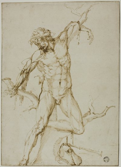 Marsyas fához kötözve alkotó: Follower of Baccio Bandinelli