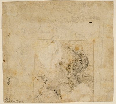 Női fej profilban balra; Vázlat a fákról és az épületről alkotó: Follower of Jacopo Bassano
