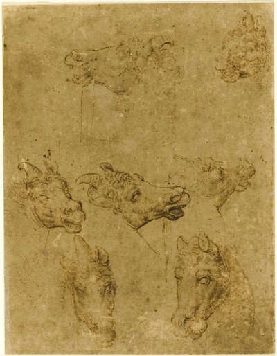A lovak és az egyszarvúak fejei alkotó: Follower of Leonardo da Vinci