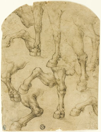 Ló (vagy dromedár) lábának vázlatai (recto); oszlopok (verso) alkotó: Follower of Leonardo da Vinci