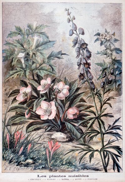 Káros növények, 1897 alkotó: Fortuné Méaulle