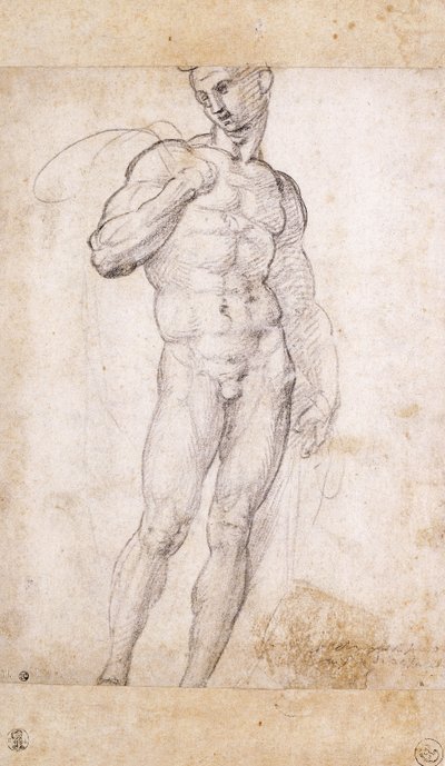 Egy akt köpenyt tart a vállán, alkotó: Fra Bartolomeo