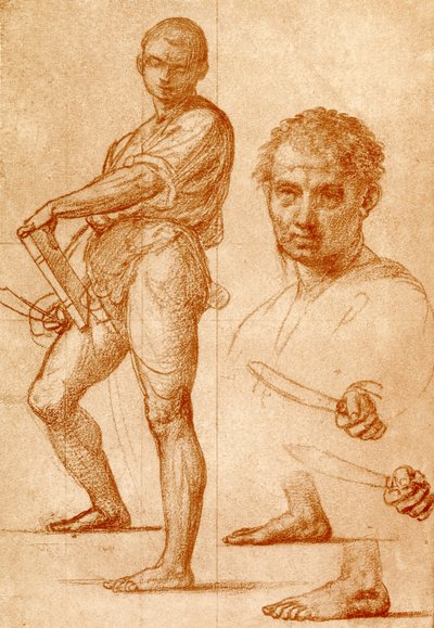 Tanulmány Szent Bertalanról alkotó: Fra Bartolomeo