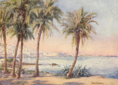 Algír a Jardin d
