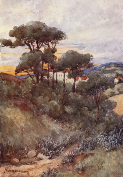 Stone Pines, Algír (színes litográfia) alkotó: Frances Nesbitt