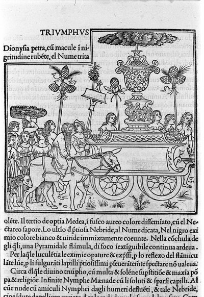 A velencei Francesco Colonna domonkos szerzetes „Hypnerotomachia Polyphili” (Poliphila álma) metszete alkotó: Francesco Colonna