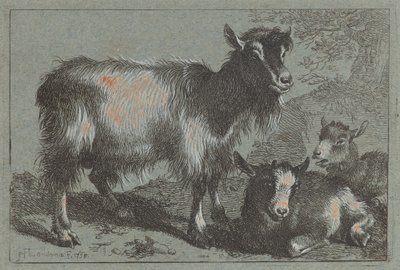 Kecske és két kölyök, 1758. alkotó: Francesco Londonio